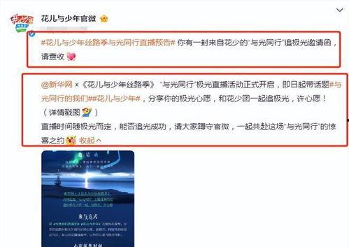 爆料冰岛最新视频,壮观景象震撼全球！